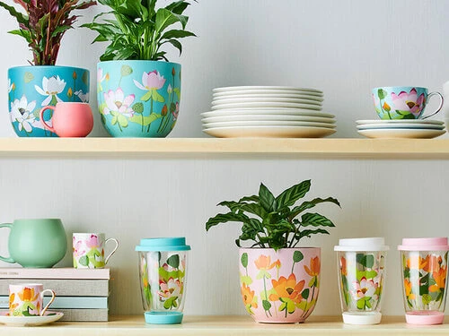 Royal Botanic Gardens Victoria Lotus Double Wall Glass Mug 380ML Aqua Gift Boxed - Image 3